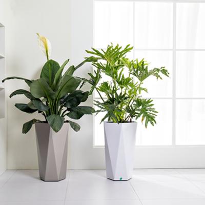 China Large White VASE Indoor Plants Garden Hydroponic Growing Flower Pots and Containers Systems Plastic Flower Pots for sale