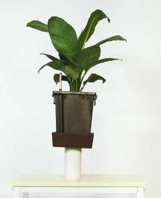 China Modern China Supplies Self Watering Plastic Pot for sale