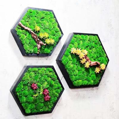 China Home Decoration Fanxun New Trend Preserved Green Plant Simulation Moss Panel For Wall for sale