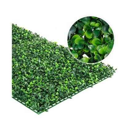 China Eco-friendly Materials Fanxun Opens Plastic Plant System Green Foliage Panel Artificial Boxwood Hedge Grass Wall for sale