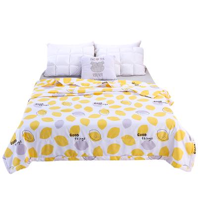 China Large Size Ultra Soft Hand Feeling Summer Fashion Home Bedding Comforter for sale