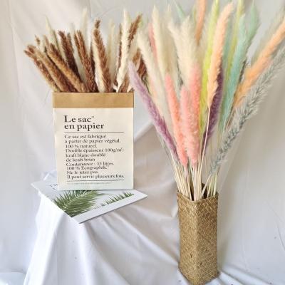 China High Quality Dried Pampas Small White Pampas Grass For Wedding Party Home Decoration for sale