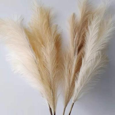 China Artificial Pampas Grass Wholesale Artificial Natural Fake Pampas Grass For Wedding Party Home Decoration for sale