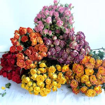 China Natural rose 2021 new arrival rose dry flower rose dry rose flower for home wedding decoration for sale