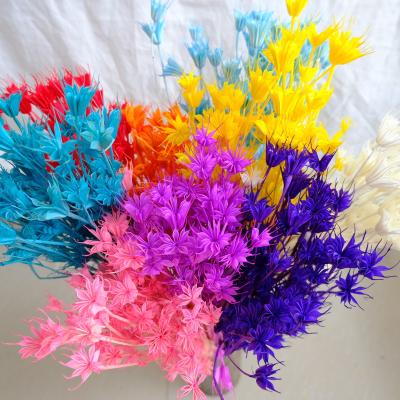 China Natural flower one of Instagram's best-selling dried flower bouquet for wedding home decoration for sale