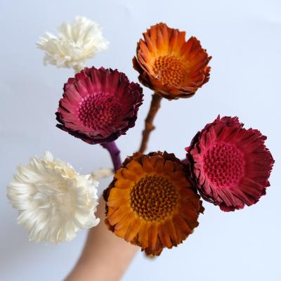 China Cheap African Sunflower Chrysanthemum Sunflower Artificial Dry Flowers For Wedding Decoration for sale