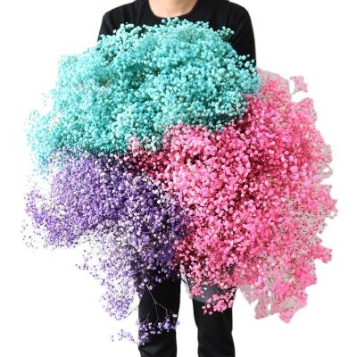 China Natural Flower Wholesale Ins Selling All Preserved Flowers Babysbreath Gypsophila Flower For Wedding Decoration for sale