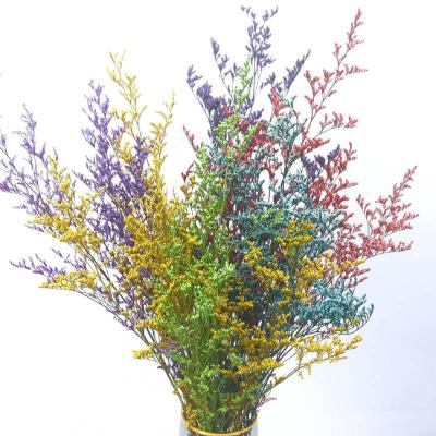 China Natural colorful preserved fresh flower love grass limonium preserved flower for wedding and home decoration for sale