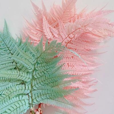 China Wedding Flower Arrangements High Quality Bleached Bleached Fern Leaves Preserved Fern Leaf For Wedding Decoration for sale