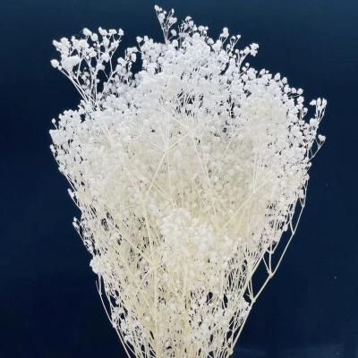 China Wedding Floral Arrangements Ins Most Popular Preserved Gypsophila Dreamy Elegans White Star Babysbreath For Wedding Decor for sale