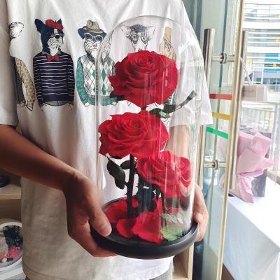 China 2021 Valentine's Day New Arrival Preserved Mounted Flower In Glass Dome With Stem Wholesale for sale