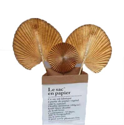 China Plastic Golden Topas Artificial Golden Palm Leaves For Party Christmas Wedding Decoration for sale