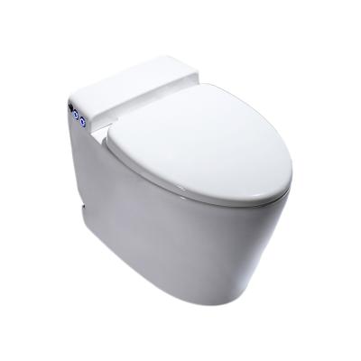 China WC Energy Saving Toiletries Double-flow WC Pulse Solenoid Electronic Toilet Energy-saving Sanitary Environmental Friendly for sale