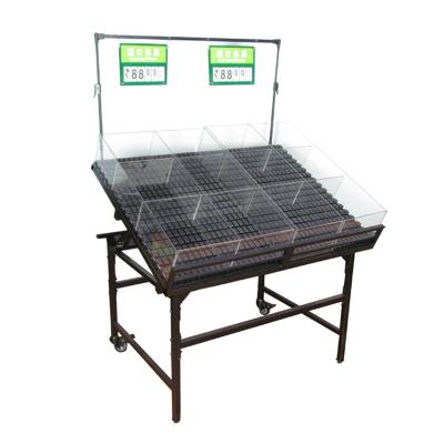 China Supermarket Promotional Display Rack Display Rack And Cool Accessories Customized 1200x900 mm for sale