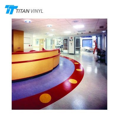 China Modern Professional Anti-Slip Vinyl Flooring For Hospitals for sale