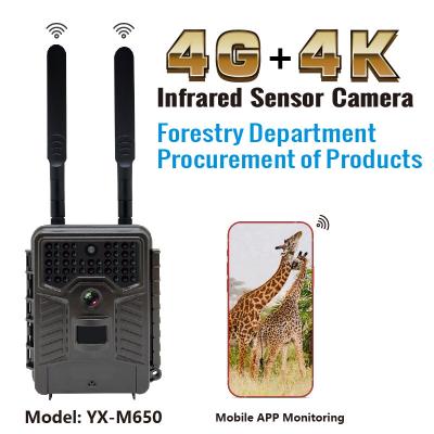 China New 4G LTE Outdoor Waterproof Trachunt SMTP MMS GPS IP67 Real Time Tracking Wildlife Hunting Camera for sale