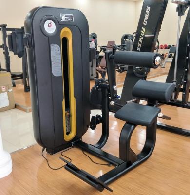 China Commercial Gym Equipment Super Sale Back Extension Strength Training Commercial Gym Equipment for sale