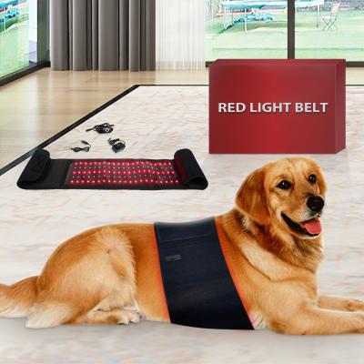 China Lose Weight Factory Wholesale 660nm 850nm Red Infrared Light Belt For Dog Horse Animals Pain Relief Reduce Inflammation for sale