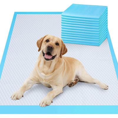 China Wasserdichte Waschbare Pet Training Pads Verwöhnte Pet Kissen mit Super Absorptions Polymer zu verkaufen