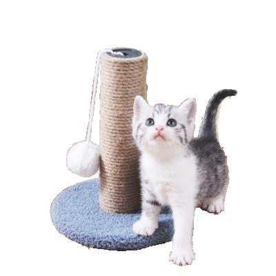 China Sustainable Multicolor Can Be Customized Pet Cat Climbing Frame Pet Cat Climbing Frame for sale