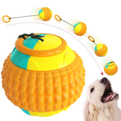 China Viable Pet Toys Resistant Molar Teeth Sharp Players Throwing Balls Dog Toys for sale