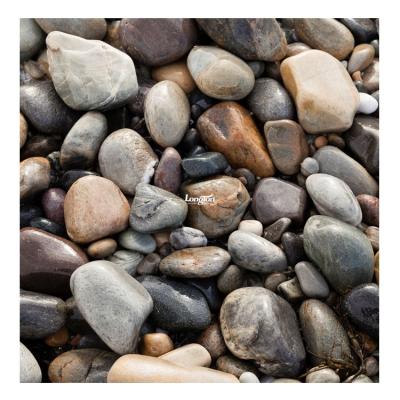 China Mini Pebble Stone Garden Paving Color Hotel Stone Pool Mid Century Small Art Mosaic Pebble Cobble Mosaic for sale