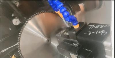 China CNC-Funktion Bevel Angle Saw Blade Schärfeinrichtung Rundsägen-Schärfer zu verkaufen