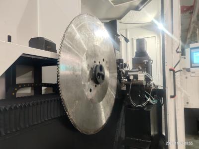 Chine Torselle Machine de meulage à lame de scie CNC de haute précision à vendre