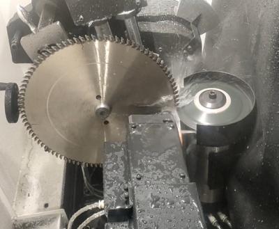 Cina Torsel Sharpening Automatic Saw Blade Grinding Machine (Motore automatico per la fresatura della lama di una sega) in vendita