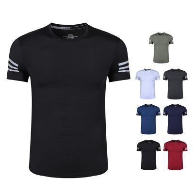 China Anti-Wrinkle T-shirt Summer Wear Active Mens Dryfit Shirts Fitness Jogging Sport Shirts Casual Custom Logo for sale