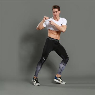 China Wholesale Anti-Wrinkle Pants Tight Fitness Mix Color Men's Running Sports Use Gym Gaiters for sale