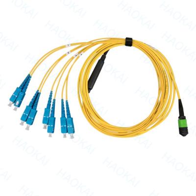 China Single Mode Breakout Sc Fiber Optic Patch Cord 12 Cores Duplex OS2 for sale