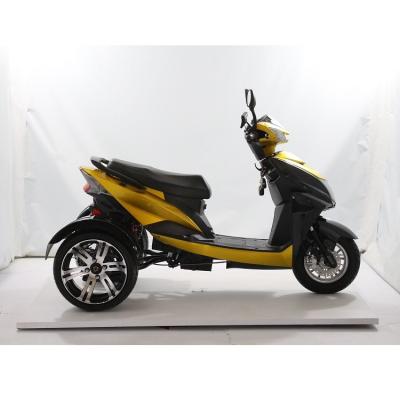 China Passenger China Made High Quality 48V 750W 3 Wheel Electric Big Tire Tricycle Scooter for sale