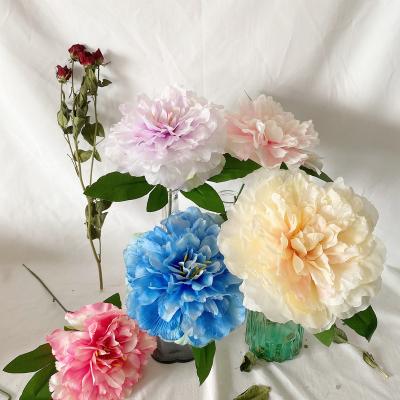 China Natural Touch 1 Bunch 16cm Large Artificial Peony Flower Wedding Flower Wall Background Home Decor for sale