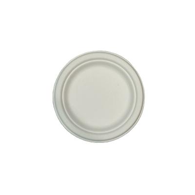 China Go Away Customizable Disposable Degradable White Paper Dish Sugar Cane Pulp 9 Inch 10 Inch Paper Dinner Dishes for sale