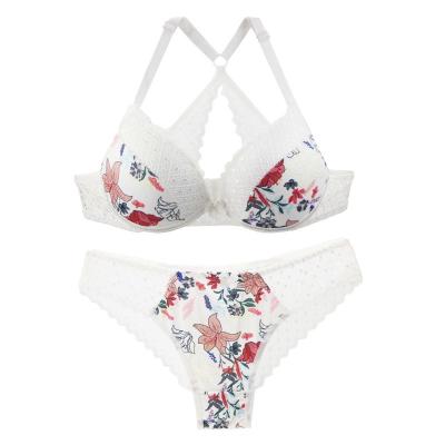 China Printed silk hot selling European and American underwear nylon printing sexy silk bra set summer wholesale for sale