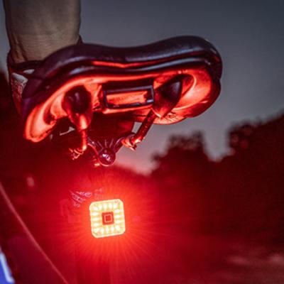 China Auto Start Stop/Brake Sensing Bicycle Tail Light Smart Auto Start Stop Brake Waterproof USB Charging Tail Tail Light Bike LED Cycling Lights for sale