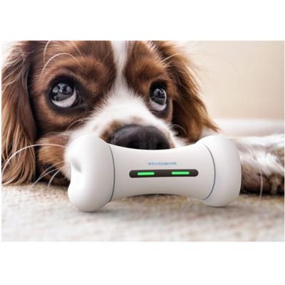 China 2020 viable new project WICKEDBONE: World s first intelligent and interactive dog toy for sale