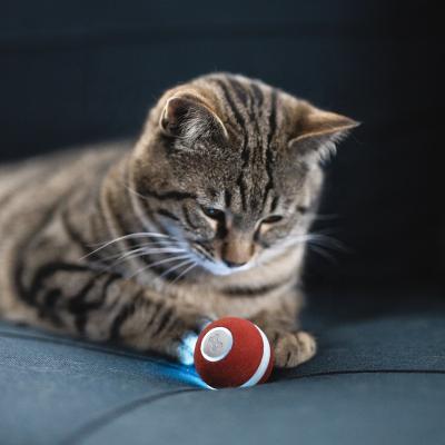 China USB Stored Rechargeable Interactive Cat Toy Ball 360 Degree Rolling Pet Cat Toy Ball Automatic Self-Bite Anti-Cut Rotating Ball for sale