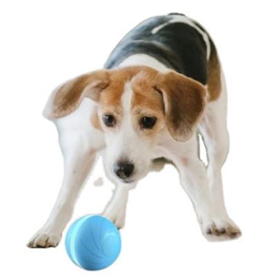 China New Design Bad Dog Companion Cat Toys Interactive Toy Electric Ball Stocked Automatic Cat Playing Ball Dog Training Ball for sale