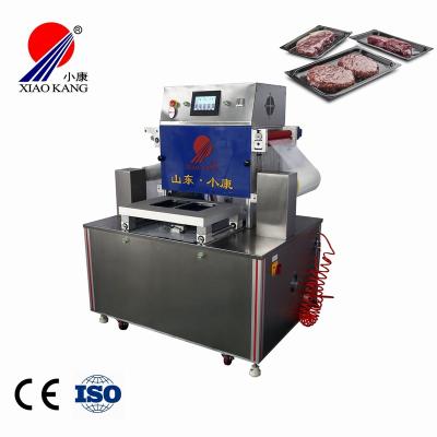 China Best Selling Food Vacuum Packing Machine For Frozen Salmon With Skin Packing CE for sale