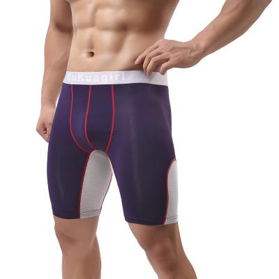 China Quick Dry Antibacterial Sports Routine Wear - Proof Pants Mens Fitness Underwear SanDisk SD for sale