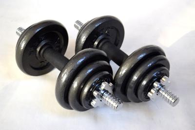 China 10kg -60kg adjustable black painting dumbbell with collars  for sale for sale