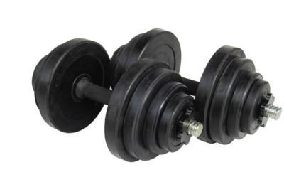 China china factory export quality black Rubber coated round dumbbell for gym for sale