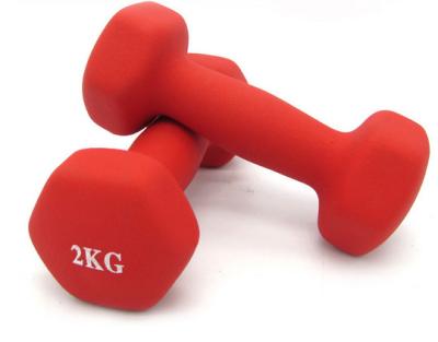 China Color Gym fitness women  Wholesale Custom Vinyl Dumbbell for sales for sale