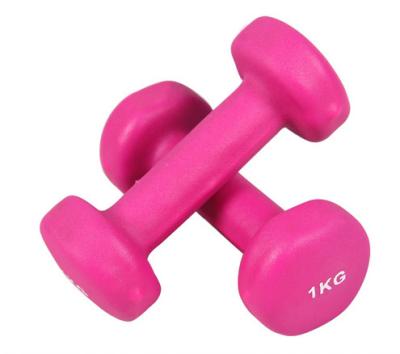 China Wholesale Round Head Vinyl Dipping Dumbbell /customize dumbell for sale