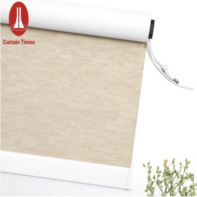 China Blackout Roller Shade Minimalist Indoor Motorized Roller Blinds For Window With Best Price In Home And Office Window Shades Blind lo for sale