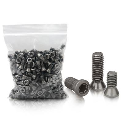 China Wholesale Socket Flat Hexalobular Pan Flower Plum Flower M2 Main Screw Inserts Safety Countersunk Flat Torx Machine Screw for sale