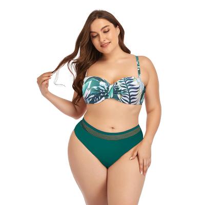 China 2022 Plus Size Bikini Women's OEM Custom Push Up Swimwear Swimwear For Ladies for sale