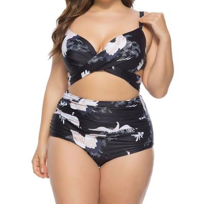 China 2022 breathable new style printed split 2 piece swimsuit plus size woman fat bikini for sale